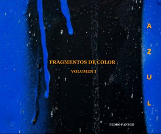 FRAGMENTOS DE COLOR book cover