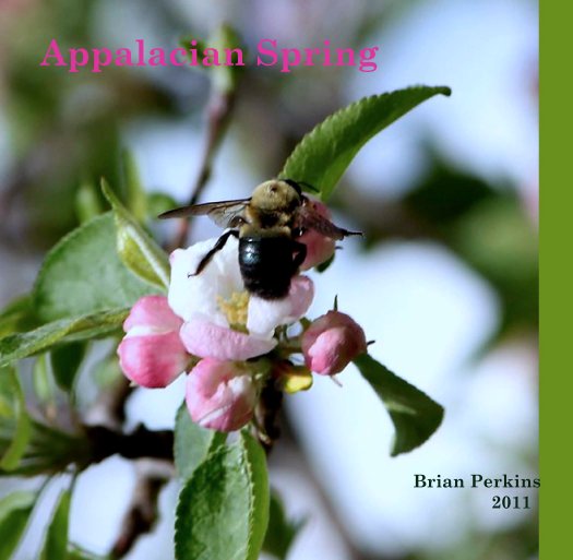 View Appalacian Spring by Brian Perkins
                                                                                          2011