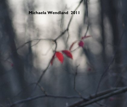 Michaela Wendland 2011 book cover