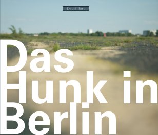 Das Hunk in Berlin book cover