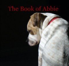 The Book of Abbie book cover