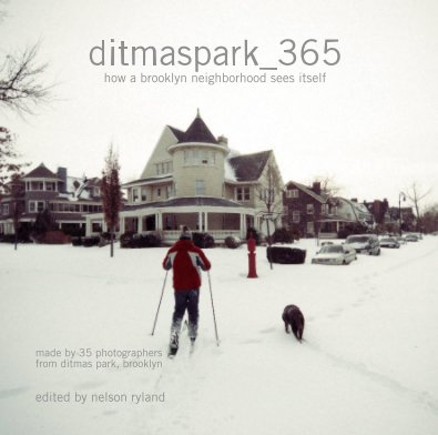 ditmaspark_365 how a brooklyn neighborhood sees itself book cover