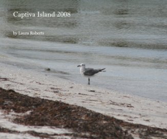 Captiva Island 2008 book cover
