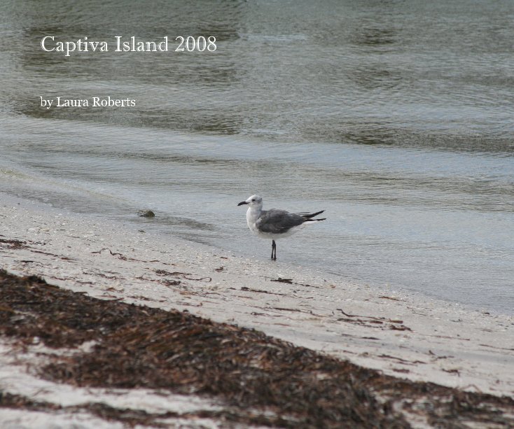 View Captiva Island 2008 by Laura Roberts
