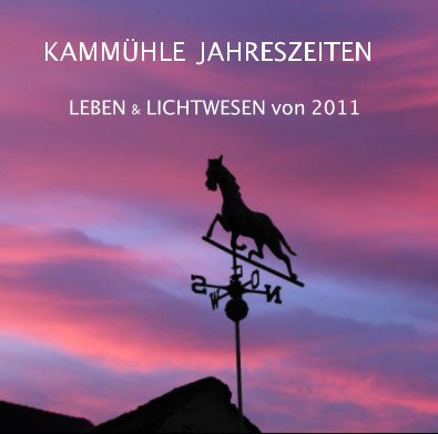 KAMMÜHLE JAHRESZEITEN book cover