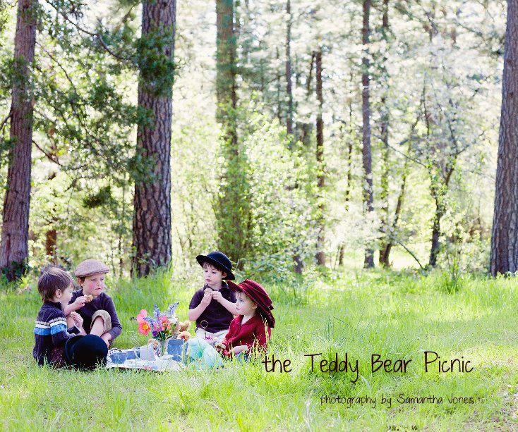 View the Teddy Bear Picnic by photography by Samantha Jones