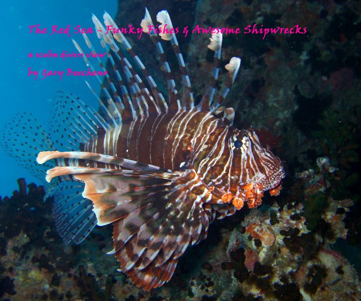 Ver The Red Sea - Funky Fishes & Awesome Shipwrecks por Gary Beecheno