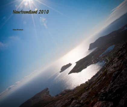 Newfoundland 2010 book cover