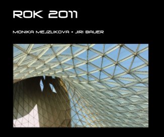 Rok 2011 book cover