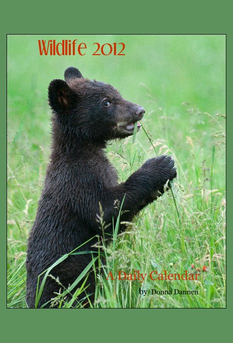 View Wildlife 2012 by A Daily Calendar by Donna Dannen