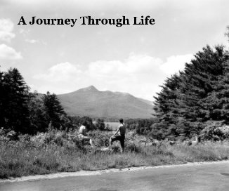 A Journey Through Life book cover