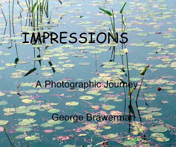 Ver IMPRESSIONS A Photographic Journey George Brawerman por brawerman
