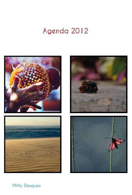 View Agenda 2012 by Mitty Desques