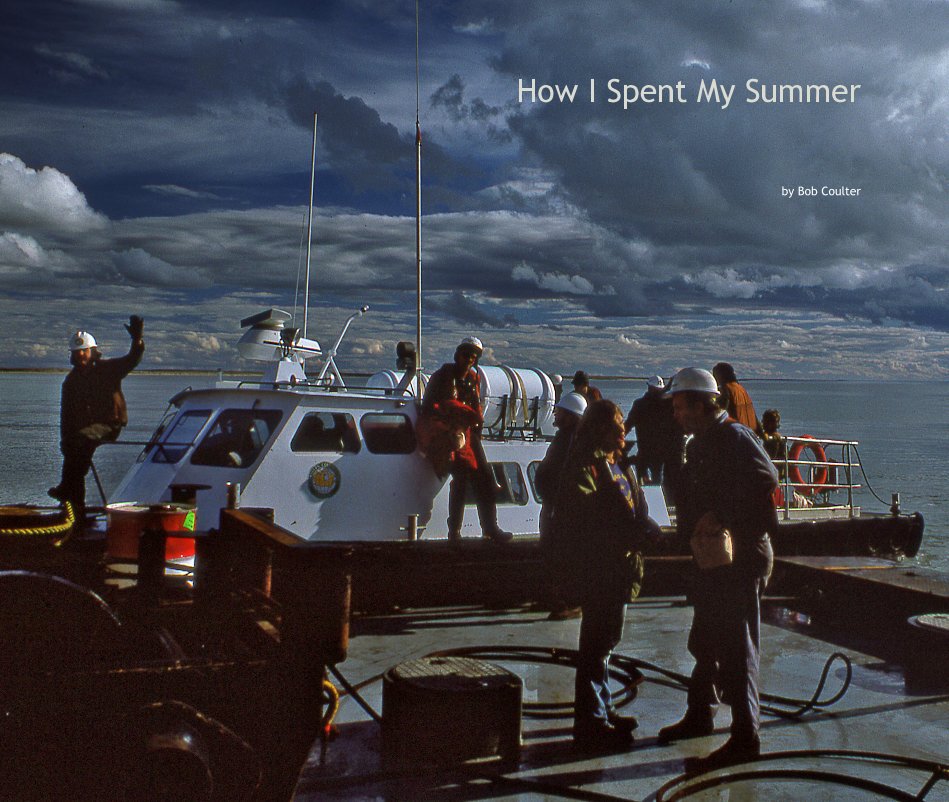 View How I Spent My Summer by Bob Coulter