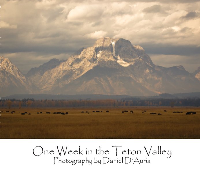 Ver One Week in the Teton Valley
Softcover Edition Premium Paper por Daniel D'Auria