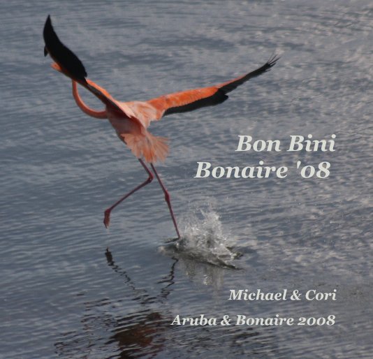 View Bon Bini Bonaire '08 by Aruba & Bonaire 2008
