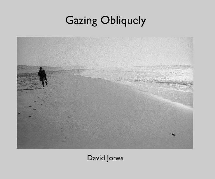 View Gazing Obliquely by David Jones