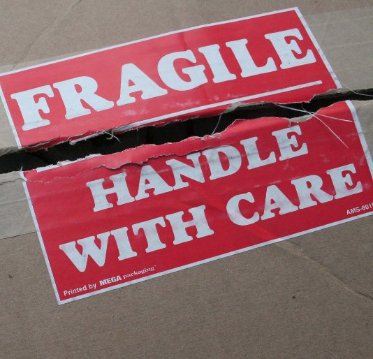 View Fragile - Handle With Care by Mikenna McClurg