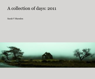 A collection of days: 2011 book cover