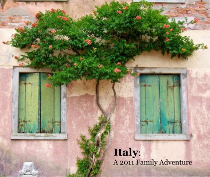 Italy: A 2011 Family Adventure book cover