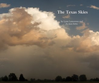 The Texas Skies book cover