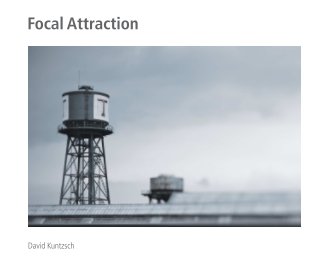 Focal Attraction book cover
