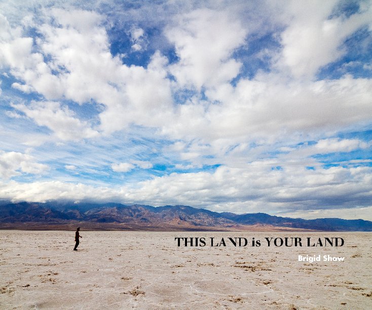 View THIS LAND is YOUR LAND by Brigid Shaw