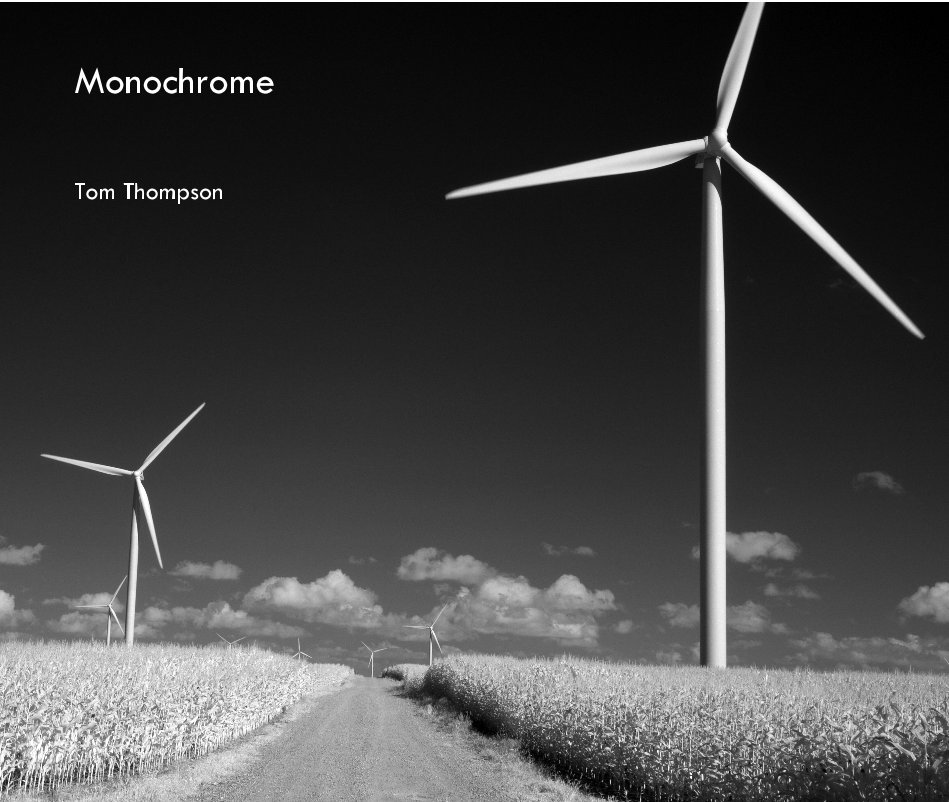 View Monochrome by Tom Thompson