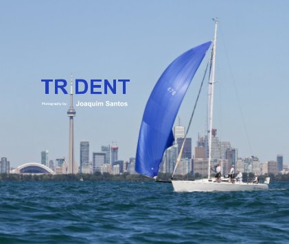 Trident 2011 book cover