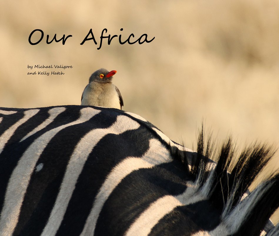 View Our Africa by Michael Valigore and Kelly Hatch