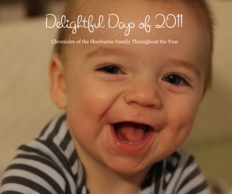 Delightful Days of 2011 book cover
