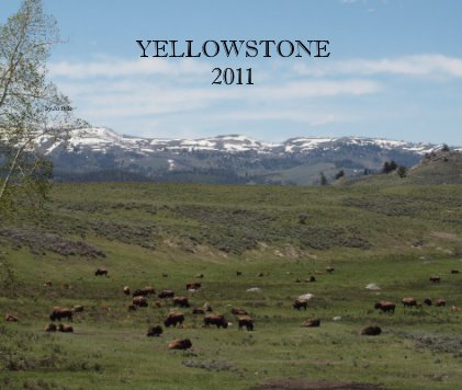 YELLOWSTONE 2011 book cover