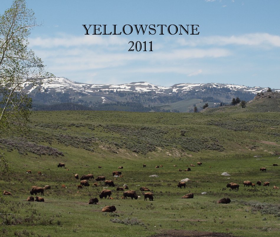 View YELLOWSTONE 2011 by Jo Dale