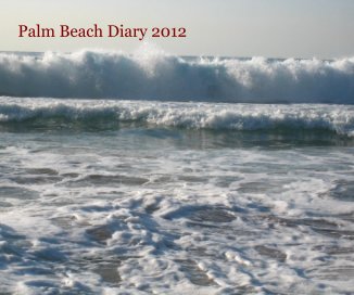 Palm Beach Diary 2012 book cover