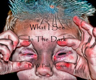 What I See In The Dark book cover