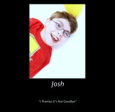 Josh book cover