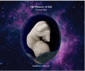 The Memory of Salt book cover