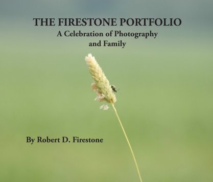 The Firestone Portfolio book cover