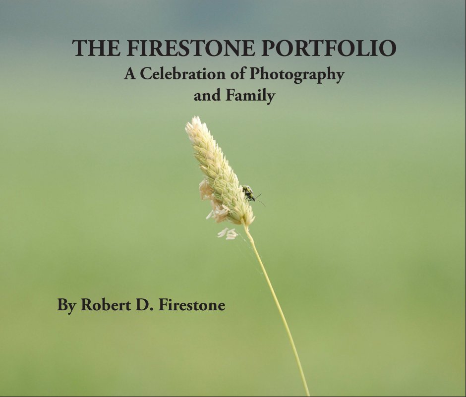 View The Firestone Portfolio by Robert D. Firestone