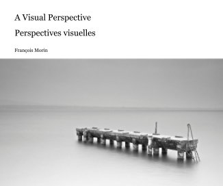 A Visual Perspective book cover