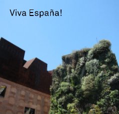 Viva España! book cover