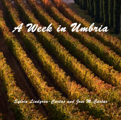 A Week in Umbria book cover