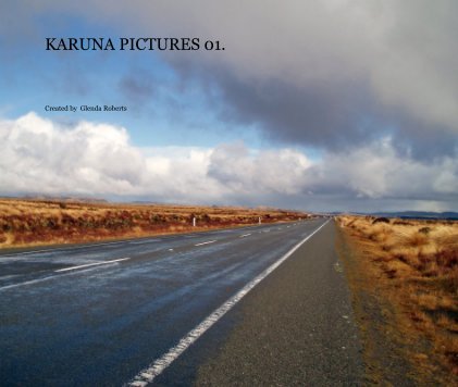 KARUNA PICTURES 01. book cover