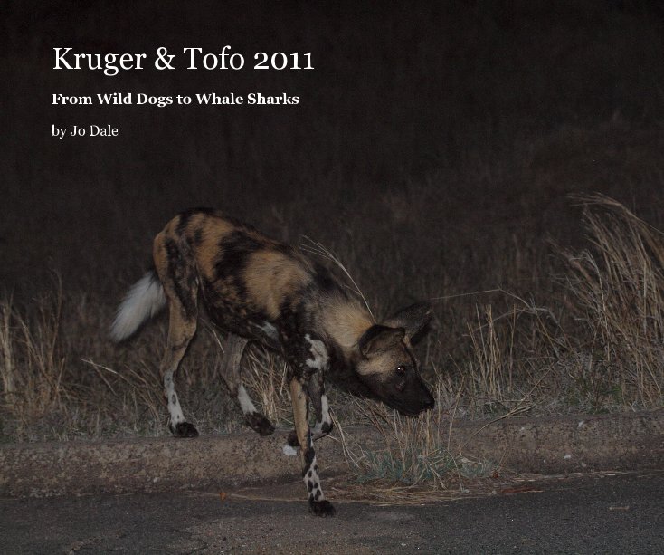View Kruger & Tofo 2011 by Jo Dale