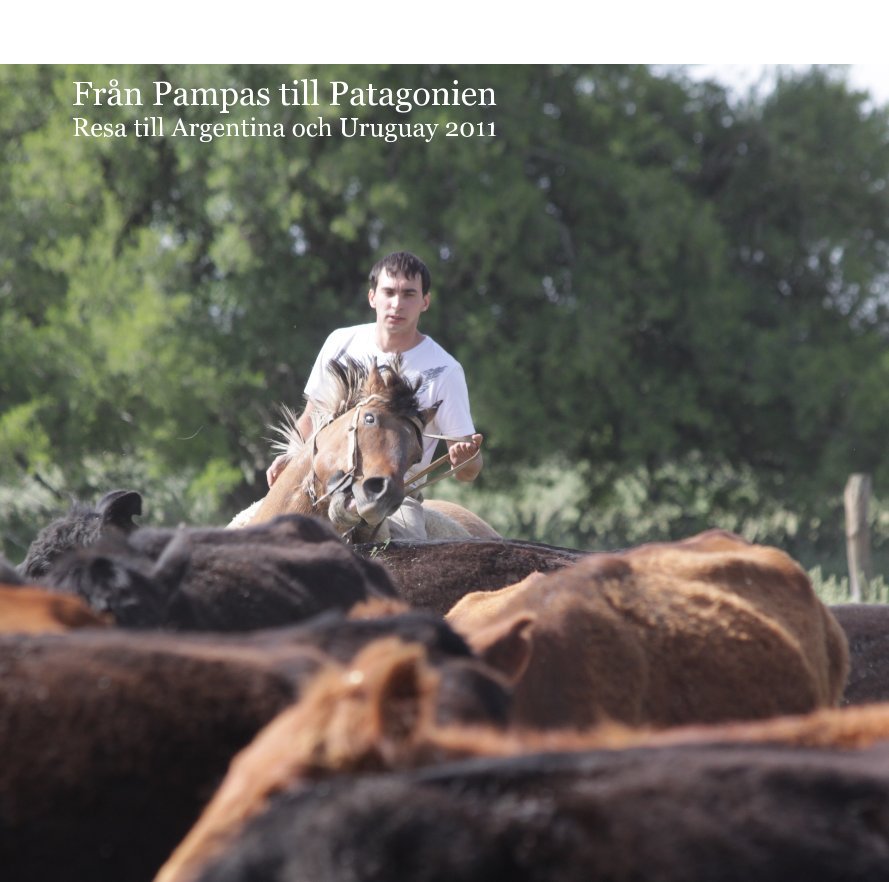 Ver Från Pampas till Patagonien Resa till Argentina och Uruguay 2011 por concapel