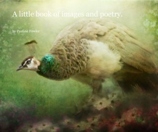 A little book of images and poetry. book cover