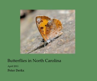 Butterflies in North Carolina book cover