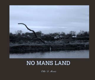 NO MANS LAND book cover