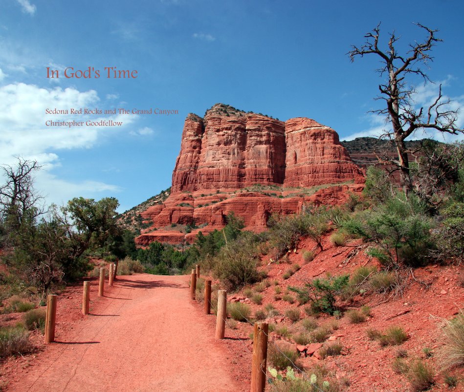 View In God's Time by Christopher Goodfellow