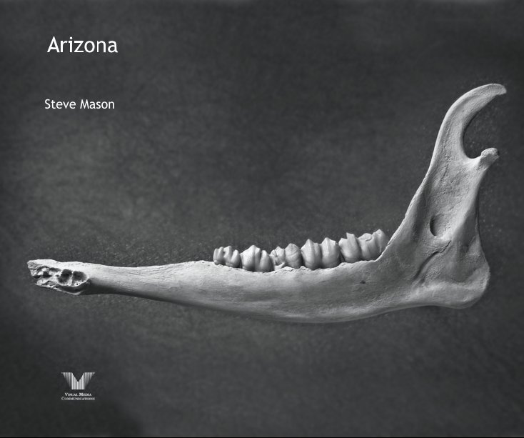 View Arizona by Steve Mason